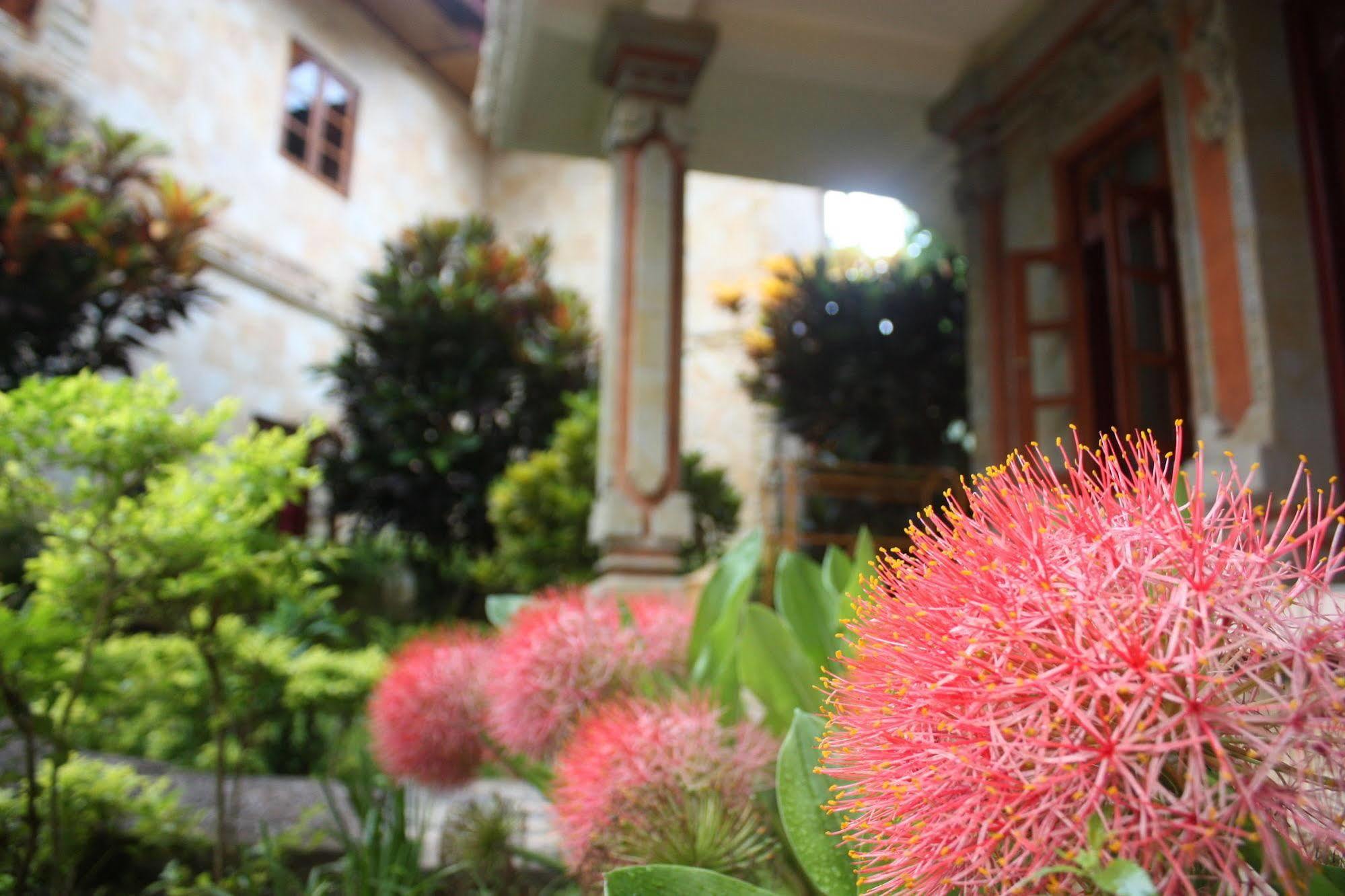Rambutan Boutique Hotel Ловина Экстерьер фото
